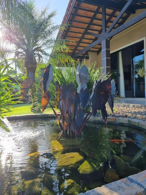 Frieden Haus Hospedagem Pomerode Ngoại thất bức ảnh